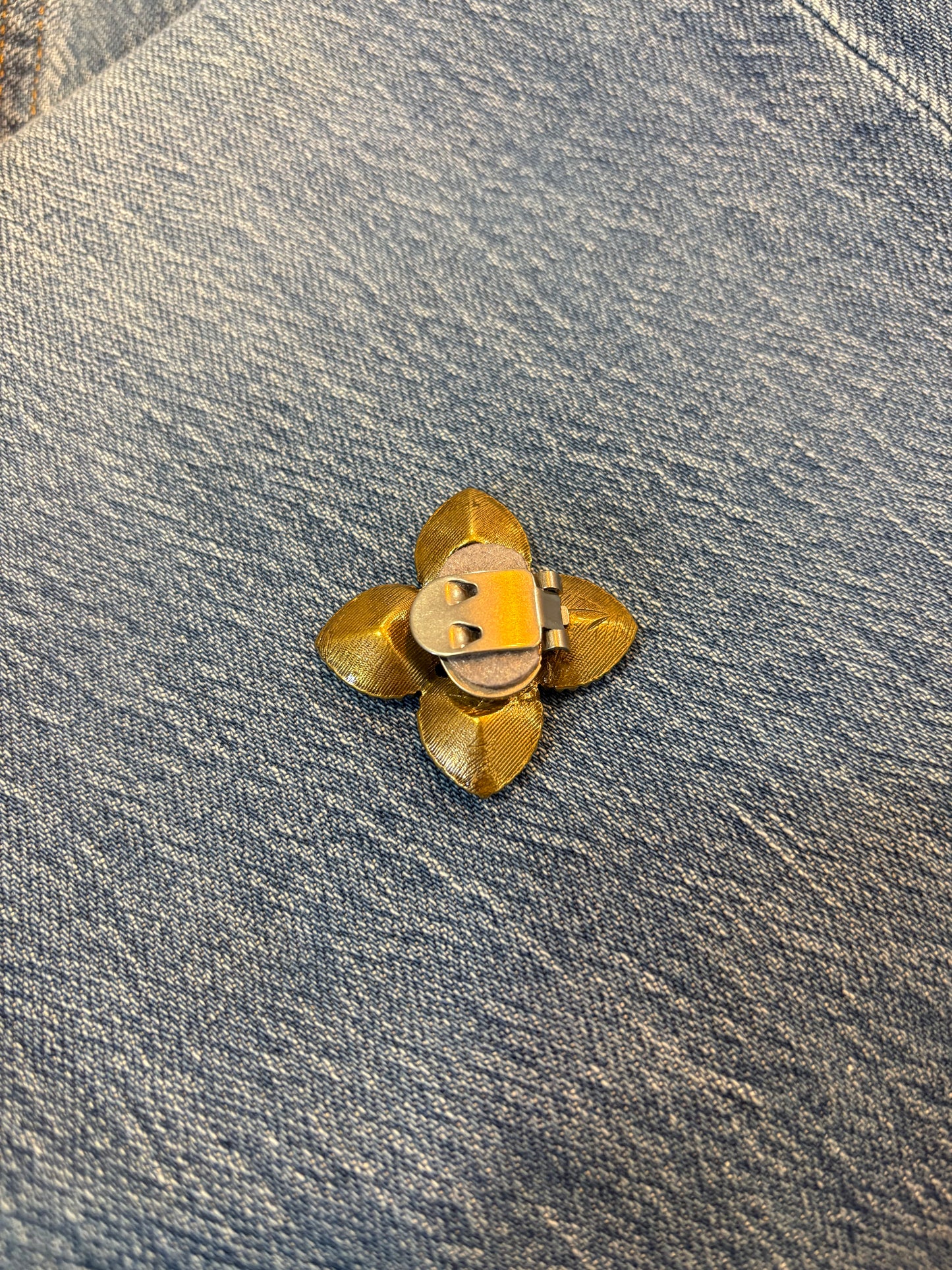 Clip Brune à Mégève - La Loge de Suzon